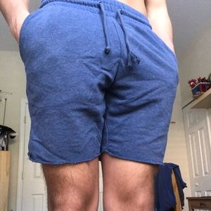 Blue Men’s Shorts Size Medium